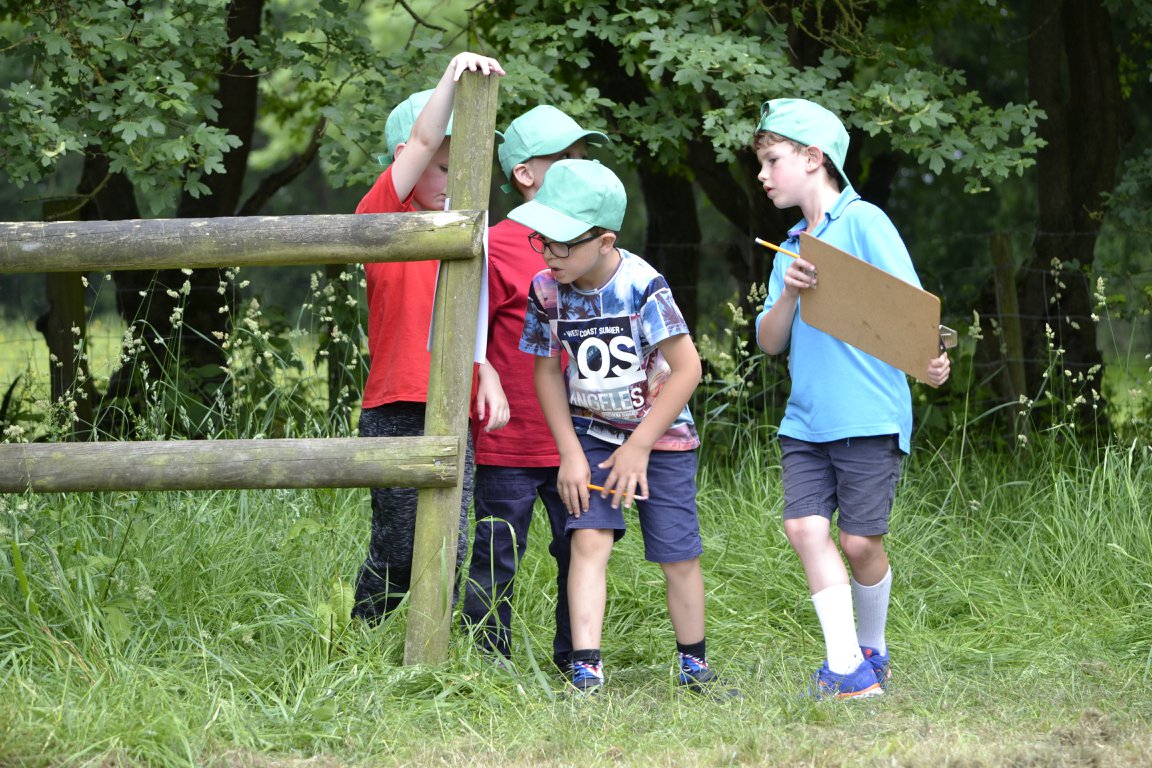 Orienteering